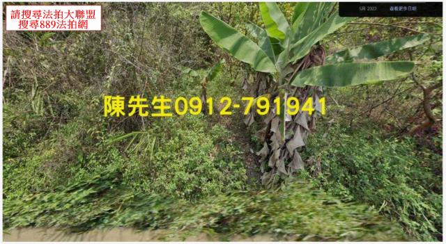 高雄甲仙農地法拍-0