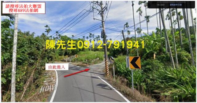 嘉義中埔農地拍賣-2