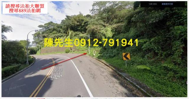 大溪法拍林地-9