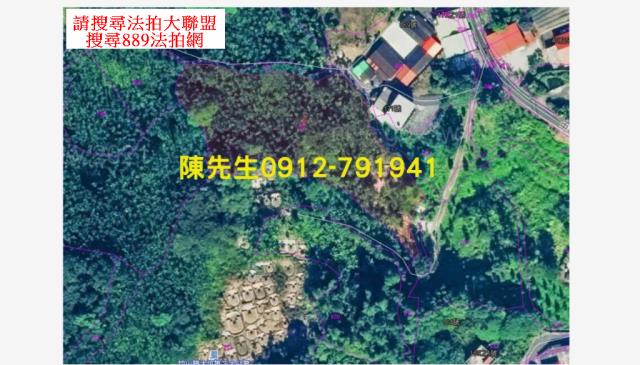 南投法拍山坡地-4