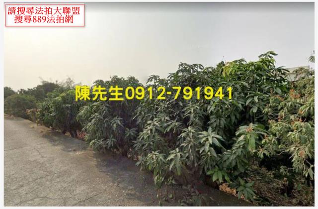 大樹農地拍賣-12