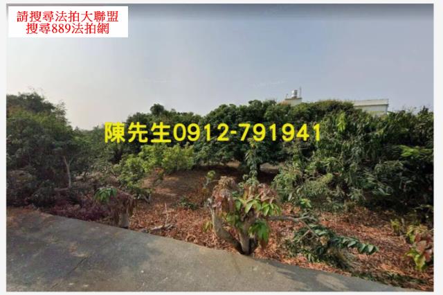 大樹農地拍賣-1
