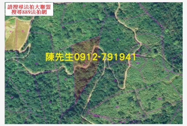 宜蘭大同拍賣農地-3