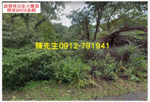 新北汐止拍賣山坡地-9