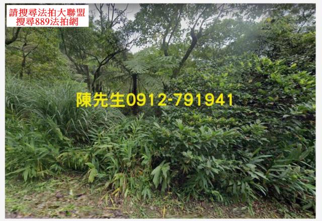 新北汐止拍賣山坡地-1
