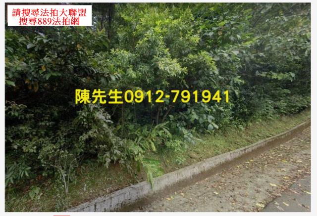 汐止法拍山坡地-11