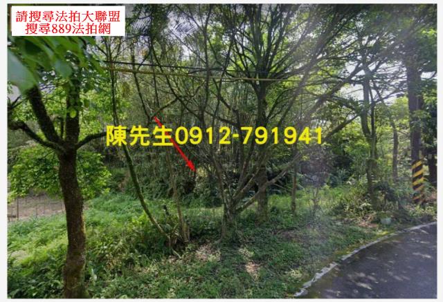 平溪法拍農地-0