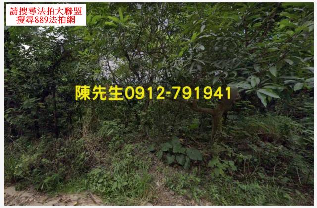 屏東三地門農地法拍-10