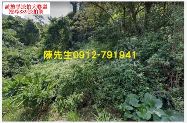 屏東三地門拍賣農地-10