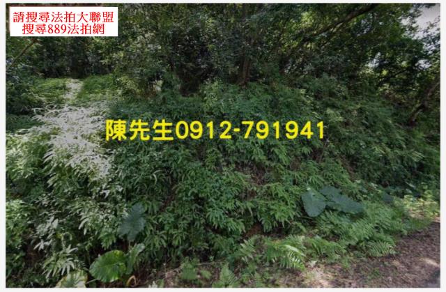 屏東三地門拍賣農地-11