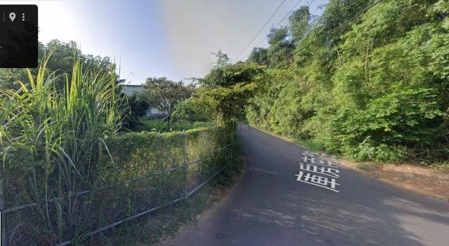 桃園農地法拍-0