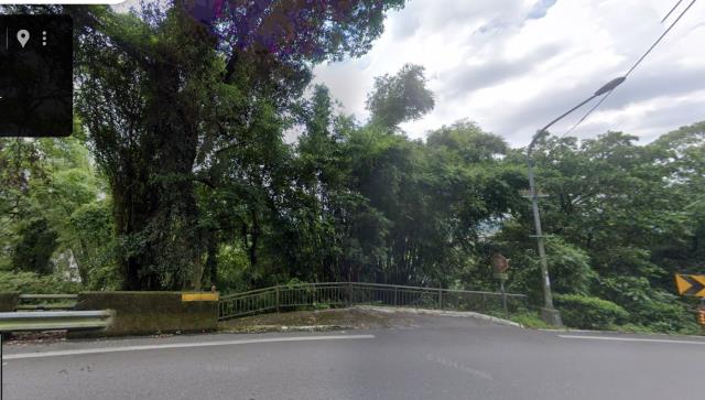 桃園大溪法拍林地-0