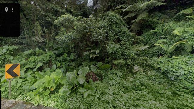 桃園大溪法拍林地-8