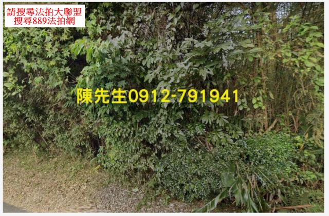復興農地法拍-10
