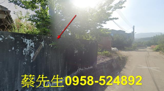 苑裡法拍建地-11