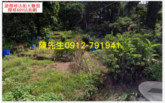 新北淡水農地-5