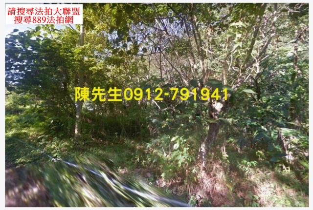 花蓮秀林建地法拍-2