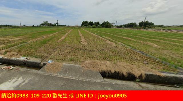 布袋農地法拍-8