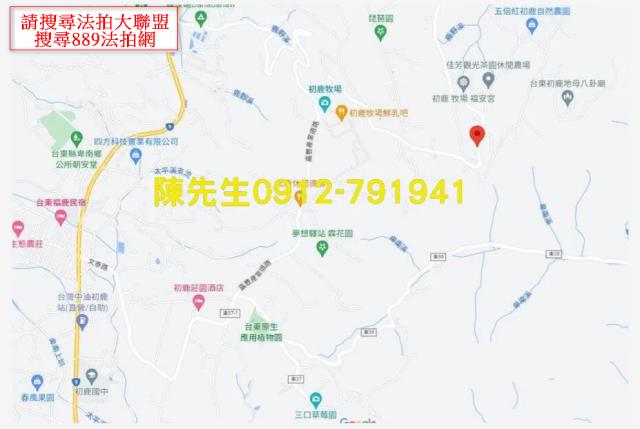 台東卑南拍賣農地-14