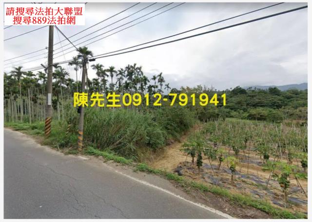 台東卑南拍賣農地-1