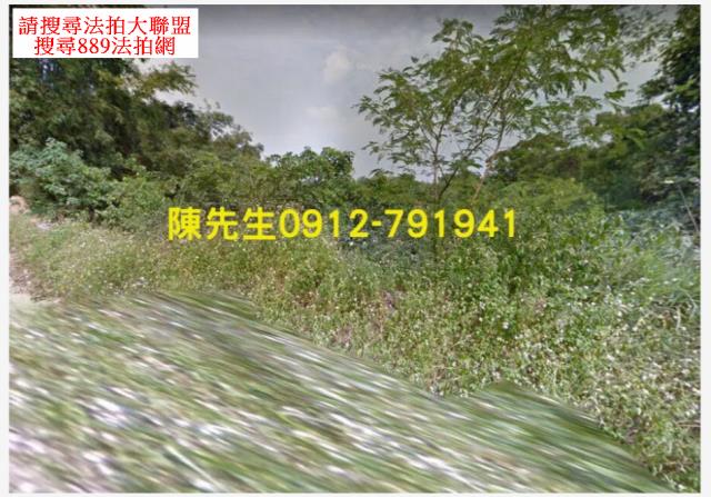 台南龍崎農地法拍-4
