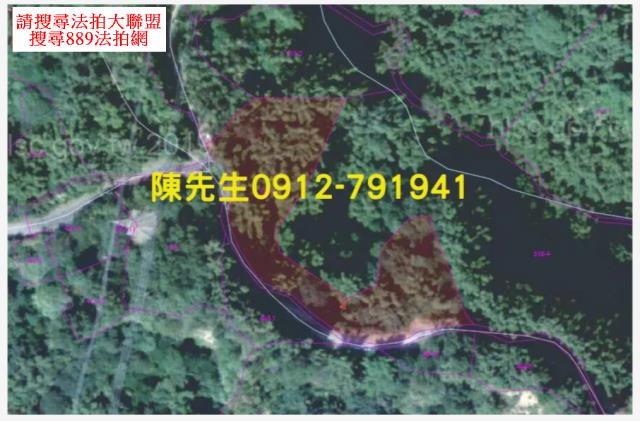 台南龍崎農地法拍-8
