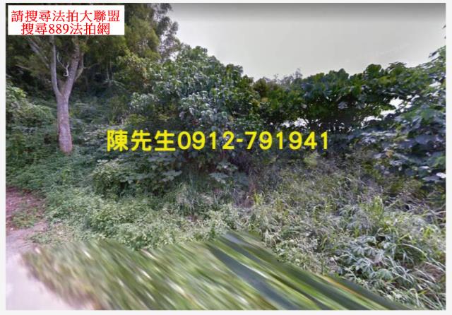 台南龍崎農地法拍-0