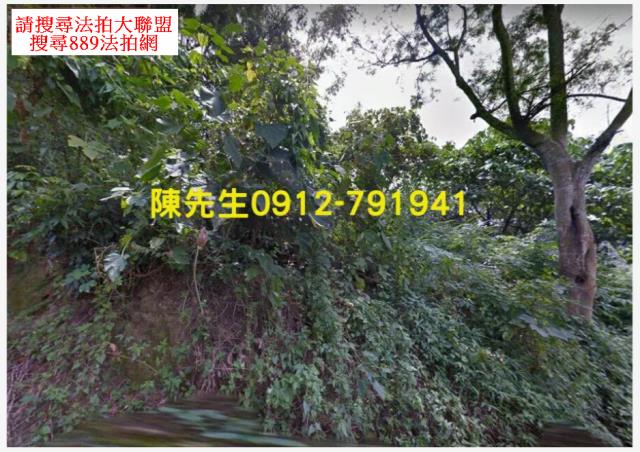 台南龍崎農地法拍-1
