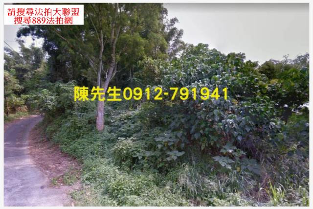 台南龍崎農地法拍-2