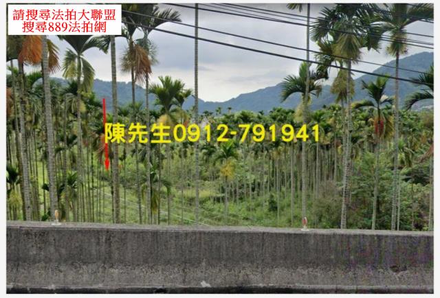 和平農地法拍-0
