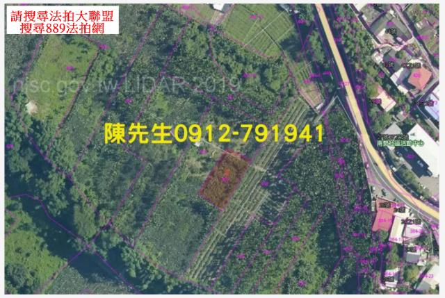和平農地法拍-5