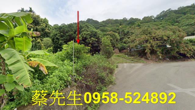台中法拍農地-11