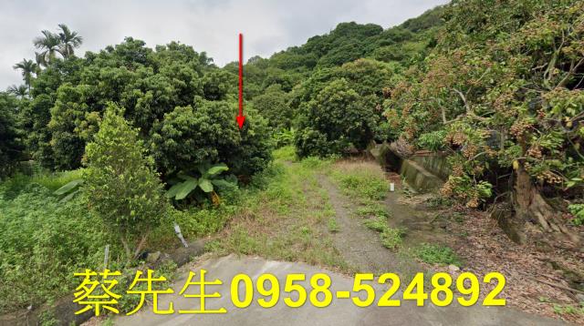 台中法拍農地-12