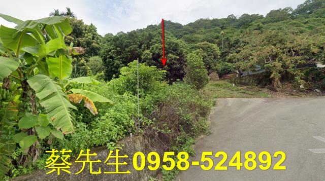 台中法拍農地-14