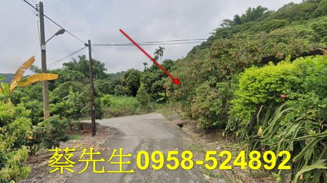 台中法拍農地-5