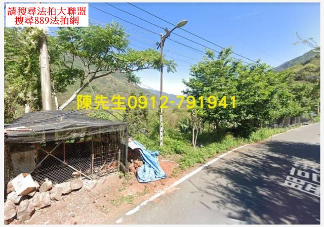 南投信義鄉原住民保留地法拍-9