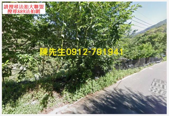 南投信義鄉原住民保留地法拍-10