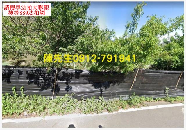 南投信義鄉原住民保留地法拍-11