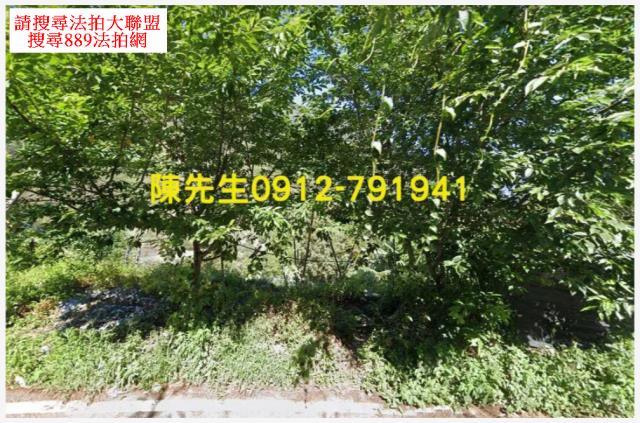 南投信義鄉原住民保留地法拍-8