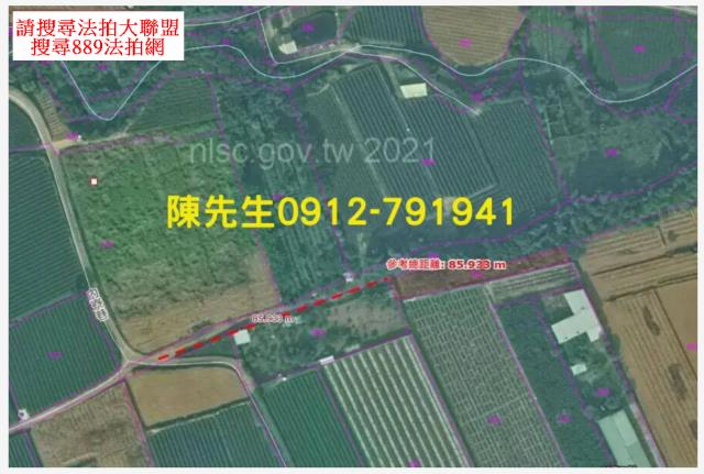 南投名間拍賣農地-12