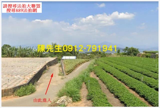 南投名間拍賣農地-1
