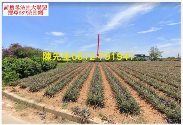 高雄大樹法拍農地-9
