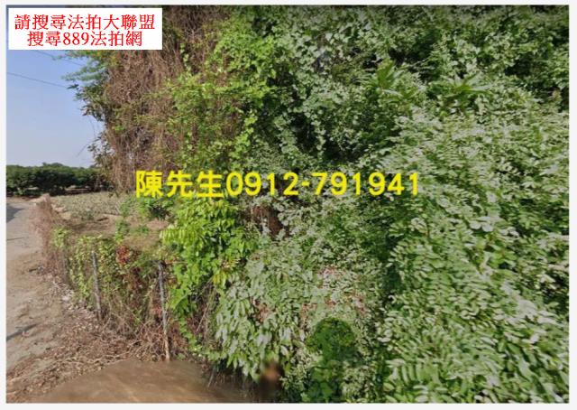 高雄大樹法拍農地-3