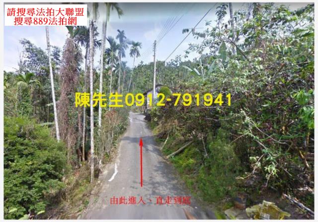 中埔法拍建地-0