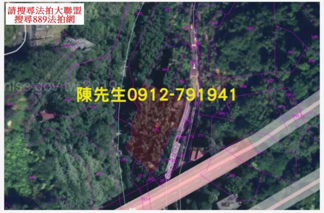 文山區種菜地法拍-4