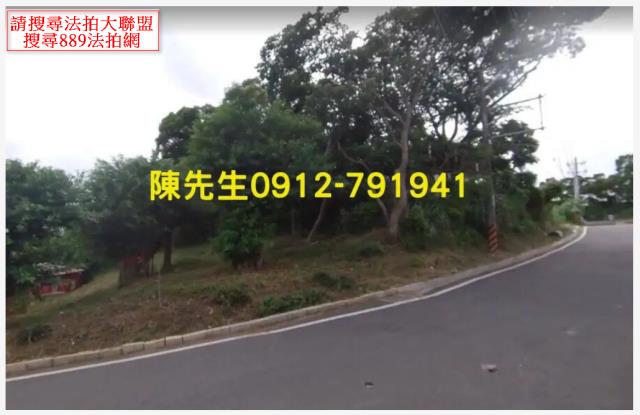 桃園桃園區法拍農地-11