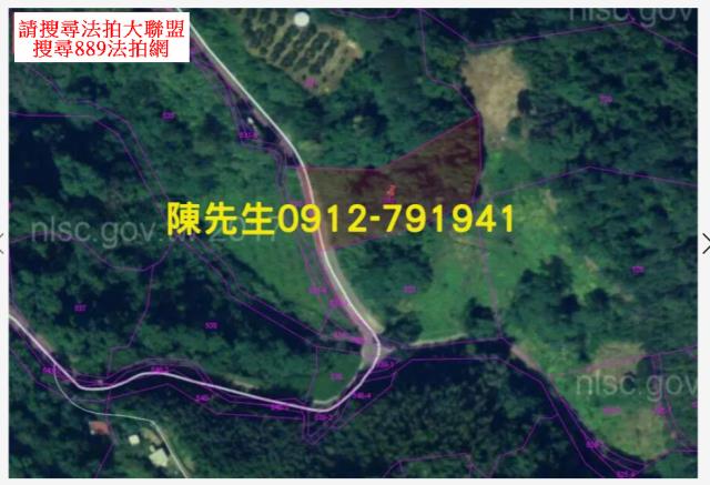 苗栗泰安法拍山坡地-4