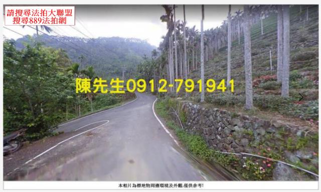 嘉義法拍山坡地-9
