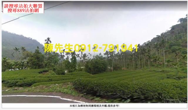 嘉義法拍山坡地-3