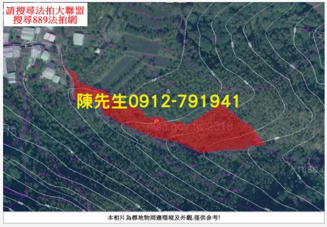 嘉義法拍山坡地-5